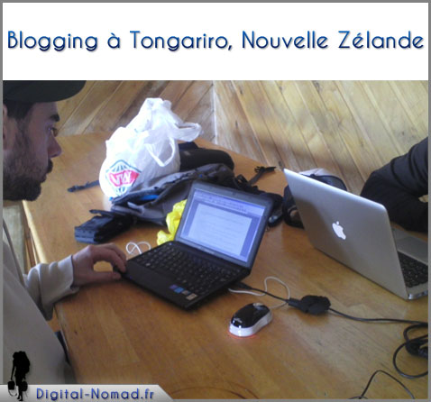 blogging nouvelle zelande